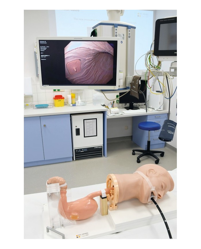 Simulatore di gastroscopia EGD EZ R21100