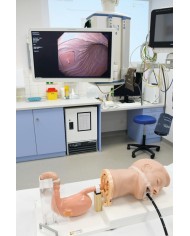 Simulatore di gastroscopia EGD EZ R21100