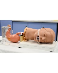 Simulatore di gastroscopia EGD EZ R21100