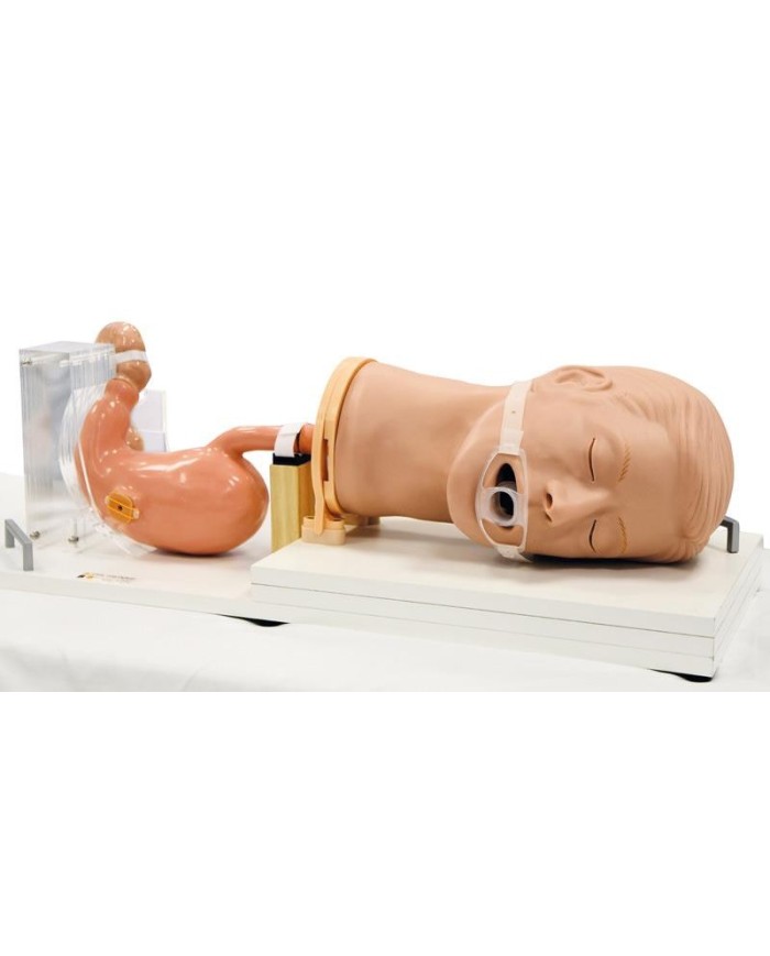 Simulatore di gastroscopia EGD EZ R21100