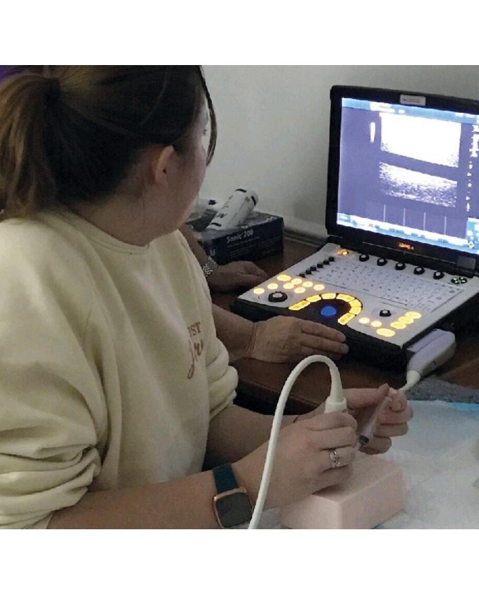 Simulatore guidato ad ultrasuoni Vaso sanguigno ramificato SonoEZ BV