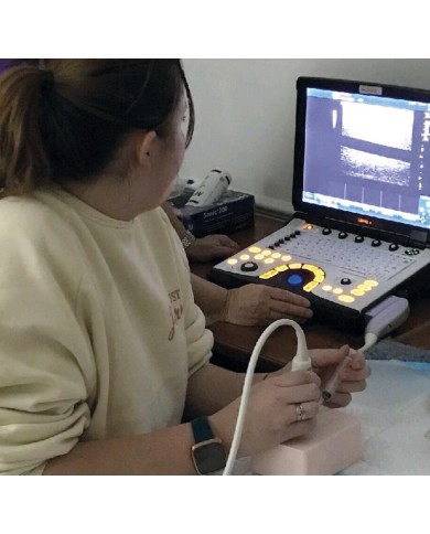 Simulatore guidato ad ultrasuoni Diversi target ecogeni SonoEZ Echo