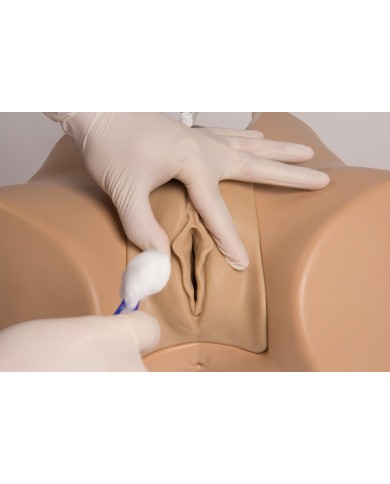 Simulatore di cateterizzazione vescicale femminile Erler Zimmer 7050