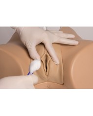 Simulatore di cateterizzazione vescicale femminile Erler Zimmer 7050