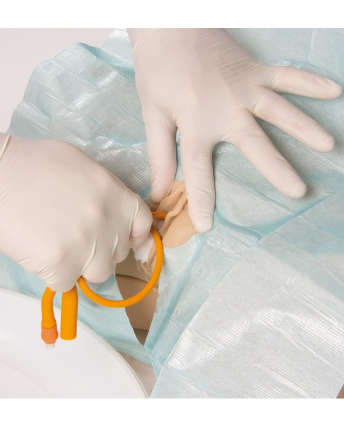 Simulatore di cateterizzazione vescicale femminile Erler Zimmer 7050