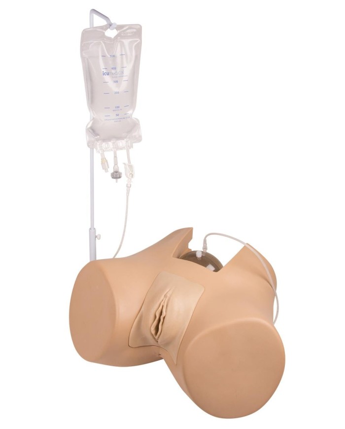Simulatore di cateterizzazione vescicale femminile Erler Zimmer 7050