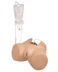 Simulatore di cateterizzazione vescicale femminile Erler Zimmer 7050
