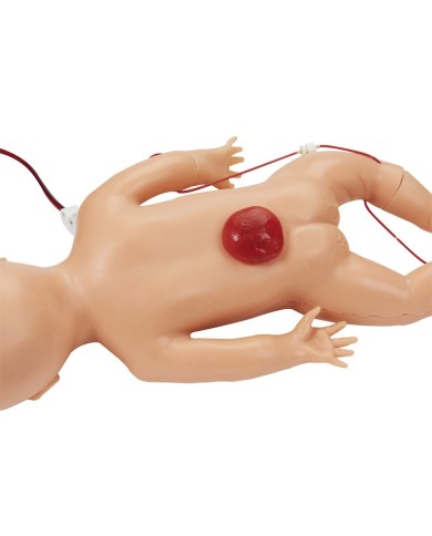 Simulatore di neonato per pratica infermieristica e ALS Erler Zimmer BA96