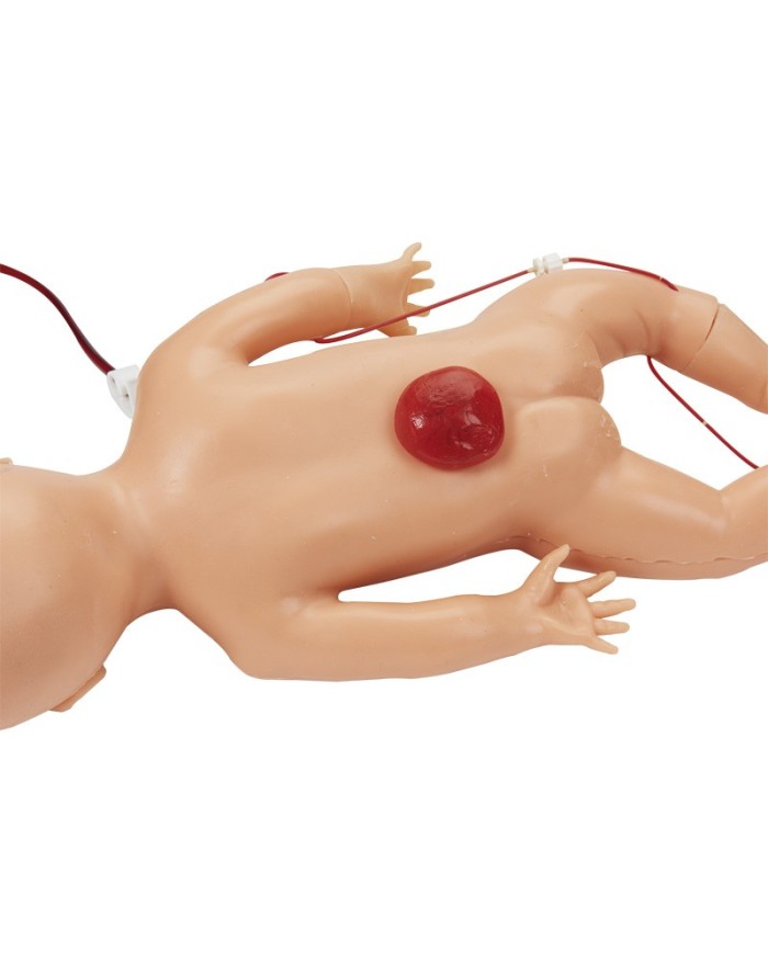 Simulatore di neonato per pratica infermieristica e ALS Erler Zimmer BA96