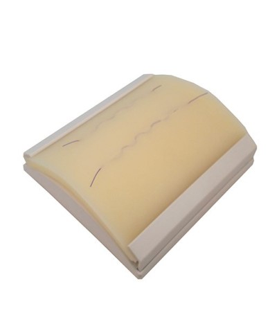 Pelle di ricambio trasparente per Addestratore alla sutura della pelle Erle