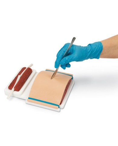 Kit avanzato per Addestramento alla sutura della pelle Erler Zimmer R11212
