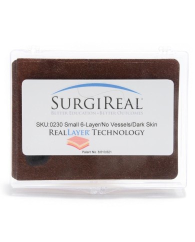 Tessuto sottocutaneo simulato a 6 strati Pelle scura Erler Zimmer SRE0230