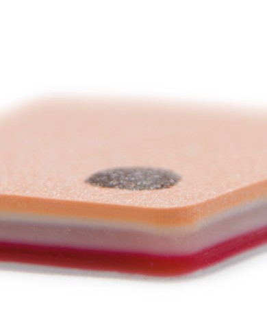 Tessuto sottocutaneo simulato a 6 strati Pelle chiara Erler Zimmer SRE0230