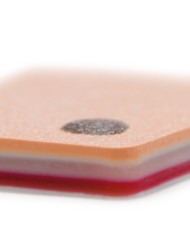 Tessuto sottocutaneo simulato a 6 strati Pelle chiara Erler Zimmer SRE0230