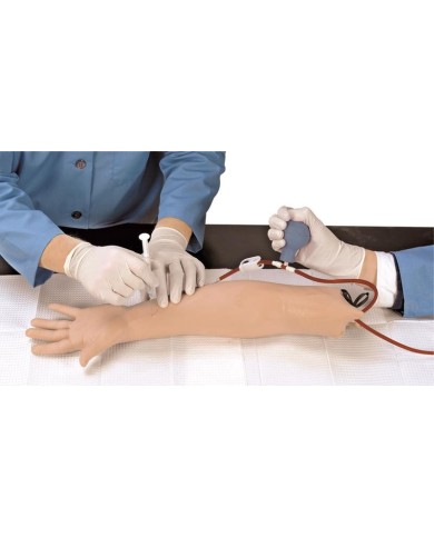 Braccio per simulazione prelievo arterioso Erler Zimmer R10011