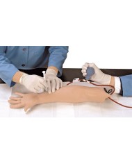 Braccio per simulazione prelievo arterioso Erler Zimmer R10011