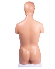 Modello di torso umano senza sesso in 12 parti B109