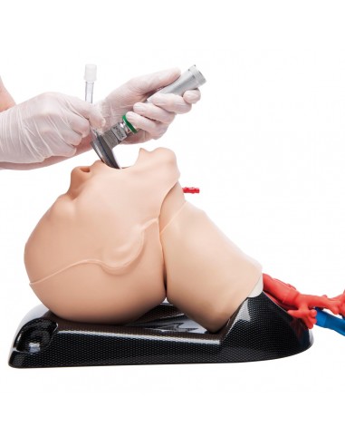 AirSim Combo bronchi X