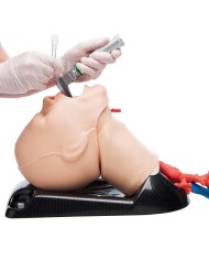 AirSim Combo bronchi X