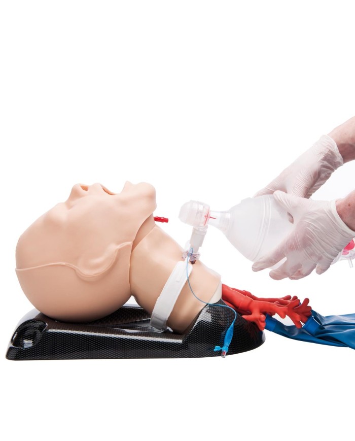 AirSim Combo bronchi X