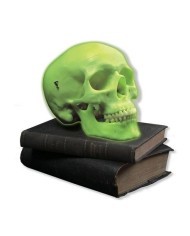 Cranio al Neon, 3B Scientific A20/N