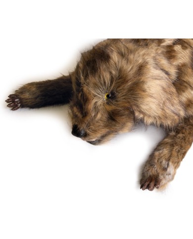 Manichino di cane Rocky per la simulazione di posizionamento Erler Zimmer