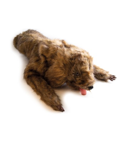 Manichino di cane Rocky per la simulazione di posizionamento Erler Zimmer