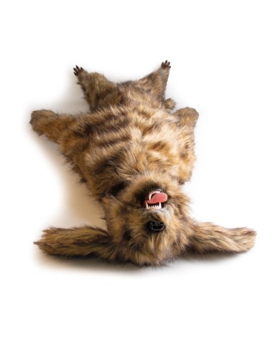 Manichino di cane Rocky per la simulazione di posizionamento Erler Zimmer