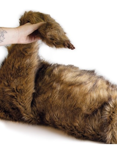 Manichino di cane Rocky per la simulazione di posizionamento Erler Zimmer