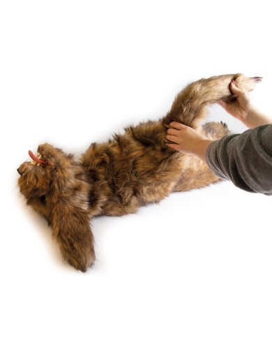 Manichino di cane Rocky per la simulazione di posizionamento Erler Zimmer