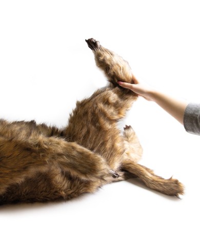 Manichino di cane Rocky per la simulazione di posizionamento Erler Zimmer