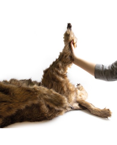 Manichino di cane Rocky per la simulazione di posizionamento Erler Zimmer