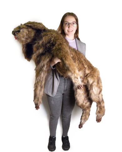 Manichino di cane Rocky per la simulazione di posizionamento Erler Zimmer