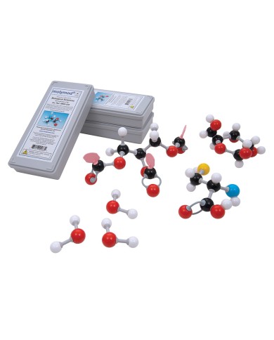 Kit di montaggio molecolare organico D molymod 1005278