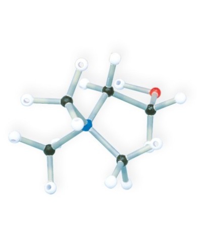 Set di biochimica per studenti 255 Orbit 1005305