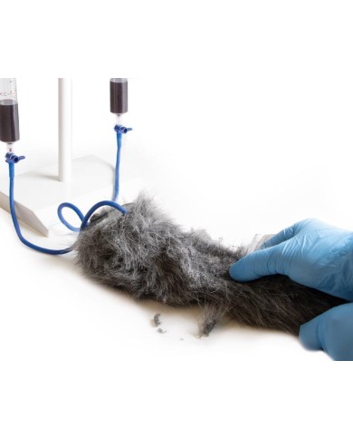 Zampa di cane per simulazione di iniezioni endovenose VET4610