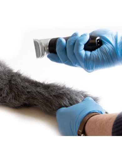 Zampa di cane per simulazione di iniezioni endovenose VET4610