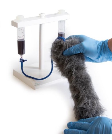 Zampa di cane per simulazione di iniezioni endovenose VET4610