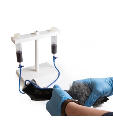 Zampa di cane per simulazione di iniezioni endovenose VET4610