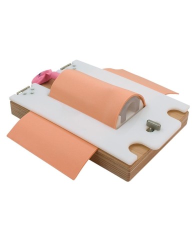 Trainer per cricotirotomia e tracheostomia Erler Zimer R67110