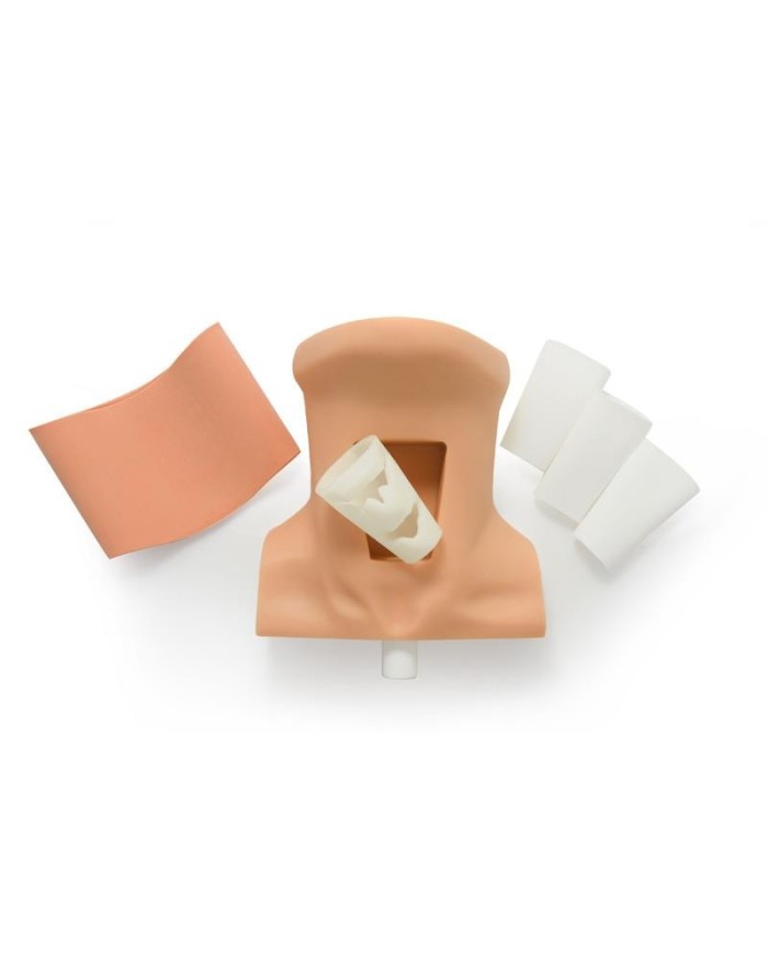 Trainer per attivit di cricotirotomia SurgiReal Erler Zimmer SRE0720