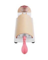 Trainer per attivit di cricotirotomia e tracheotomia Erler Zimmer R67130