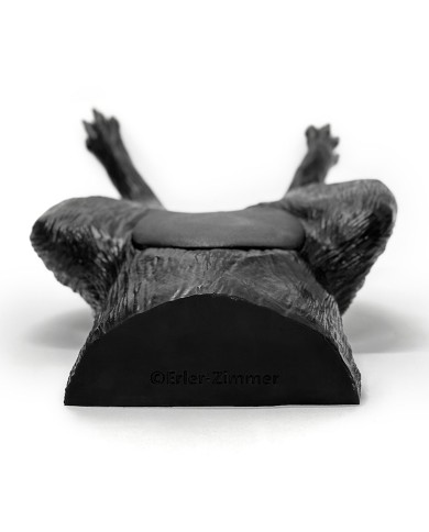 Simulatore ecografico della vescica canina Erler Zimmer VET4640