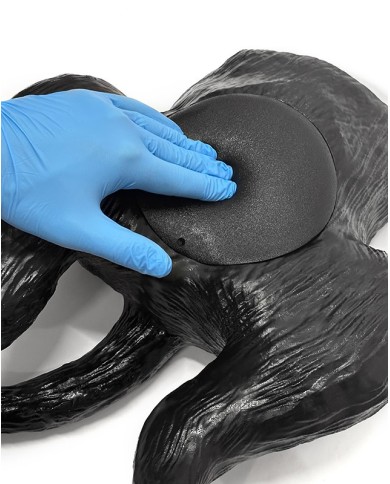 Simulatore ecografico della vescica canina Erler Zimmer VET4640