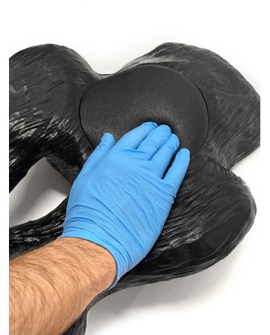 Simulatore ecografico della vescica canina Erler Zimmer VET4640