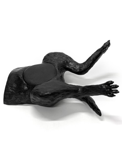 Simulatore ecografico della vescica canina Erler Zimmer VET4640