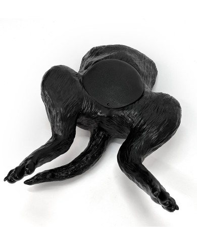 Simulatore ecografico della vescica canina Erler Zimmer VET4640