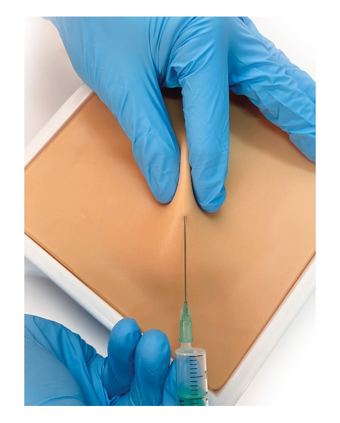 Simulatore per iniezioni sottocutaneee in piccoli animali Erler Zimmer VE