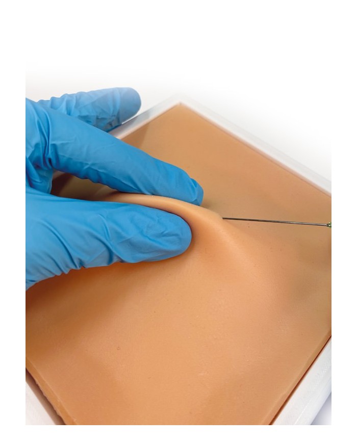 Simulatore per iniezioni sottocutaneee in piccoli animali Erler Zimmer VE