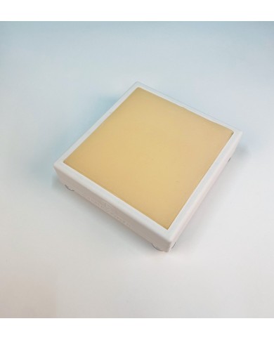 Simulatore per iniezioni intramuscolo in piccoli animali Erler Zimmer VET